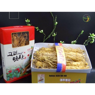 Nhân sâm tươi Hàn Quốc 6 năm tuổi 10 củ 1kg
