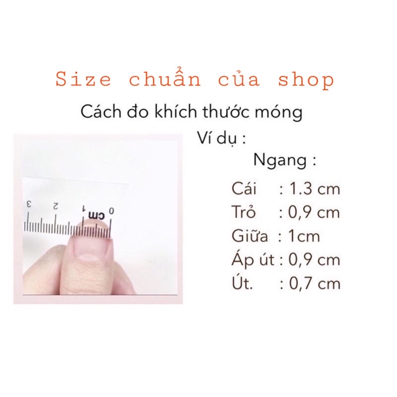 Nail box mẫu thạch nơ