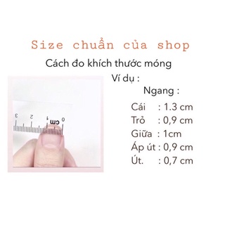 nailbox thiết kế,móng úp,móng giả