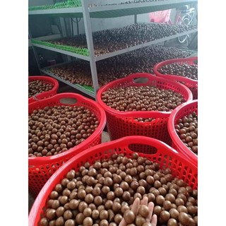 Hạt Macca Organic ĐăkLăk 500gr