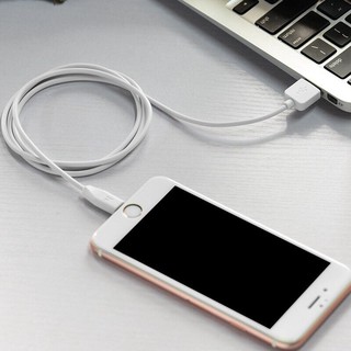 Cáp sạc Lightning iPhone iPad Hoco X1, Dài 1M