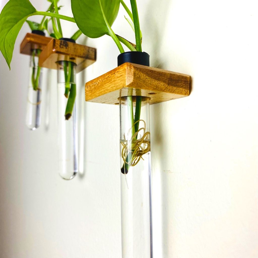 Kệ khung giá gỗ treo tường trồng cây thủy sinh, hoa khô trang trí decor nhà cửa gắn ống nghiệm phong cách Decor Nhà Núi