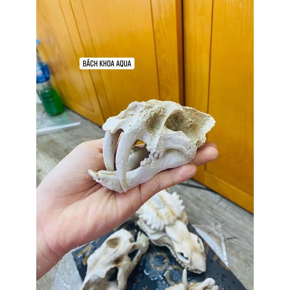 Tượng đầu Hổ trang trí bể cá siêu đẹp