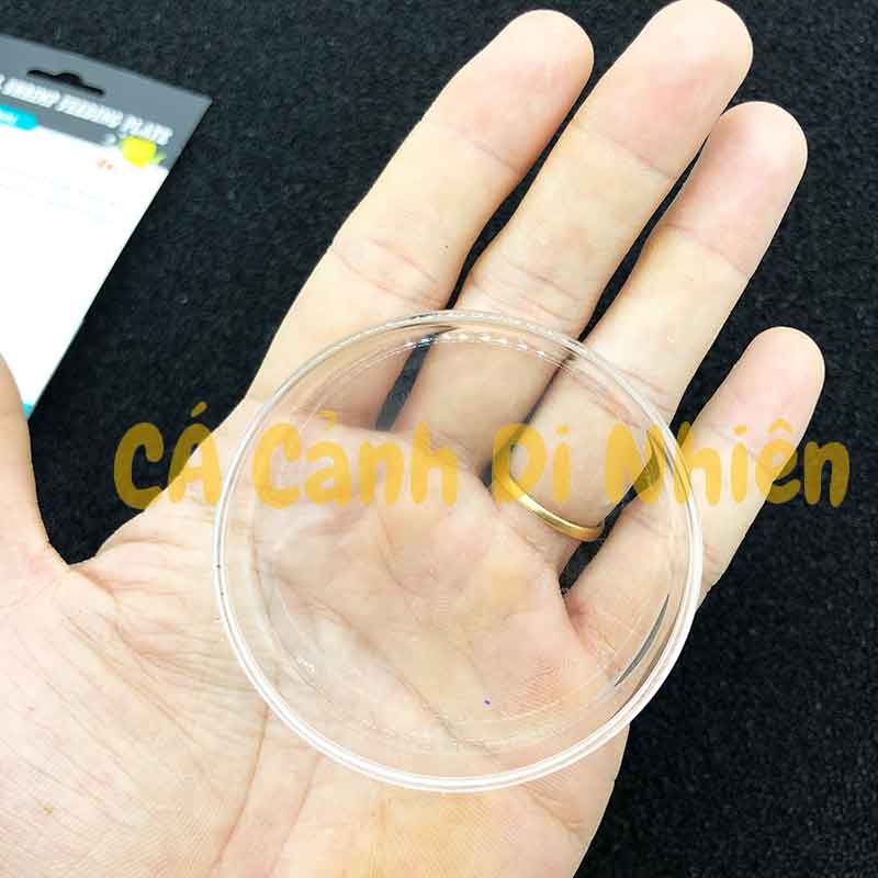 Chén Tép Thuỷ Tinh - Chén đựng thức ăn hình TRÒN cho cá tép cảnh 6.5cm