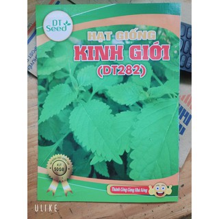 HẠT GIỐNG RAU KINH GIỚI- GÓI 05 GRAM- Rau củ quả trồng tại vườn, sân thượng, nông trang, ban công