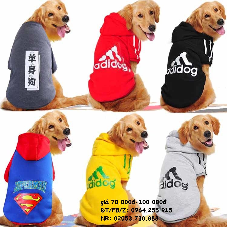 áo nỉ chó lớn (10 màu, shop giao màu ngẫu nhiên)