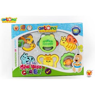 Xúc xắc antona hộp 6 món