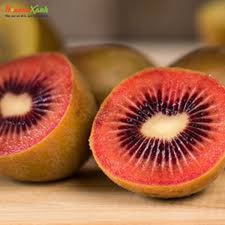 Kiwi ruột ĐỎ leo giàn dòng cây cho cho quả sớm, mang lại hiệu quả kinh tế cao chuẩn giống cây F1