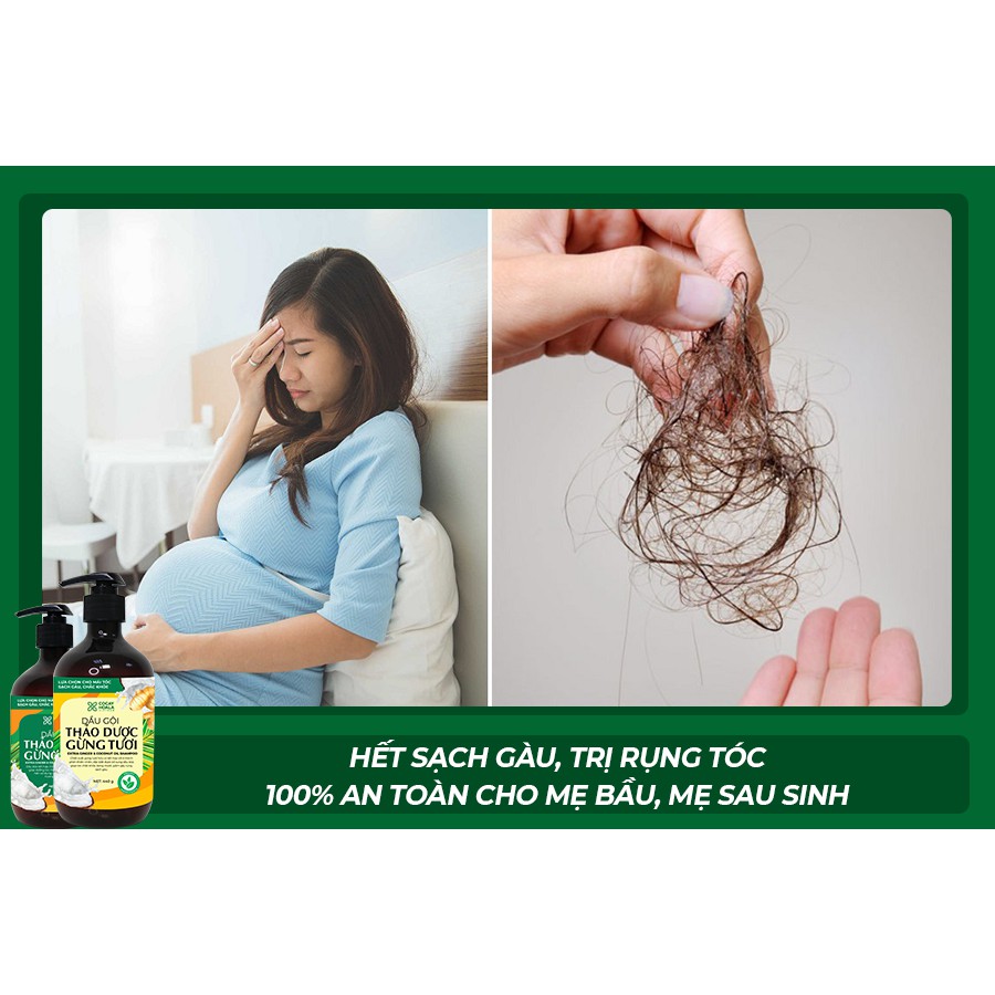 Dầu gội thảo dược gừng dừa hữu cơ - Dầu gội thảo dược gừng dừa Cocayhoala đánh bay gàu, giảm ngứa dung tích 440g/chai | BigBuy360 - bigbuy360.vn