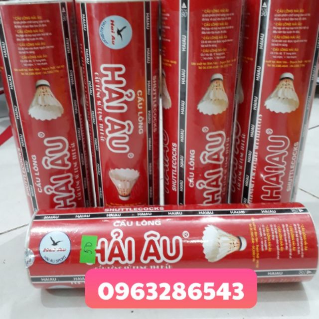 Cầu Hải Âu