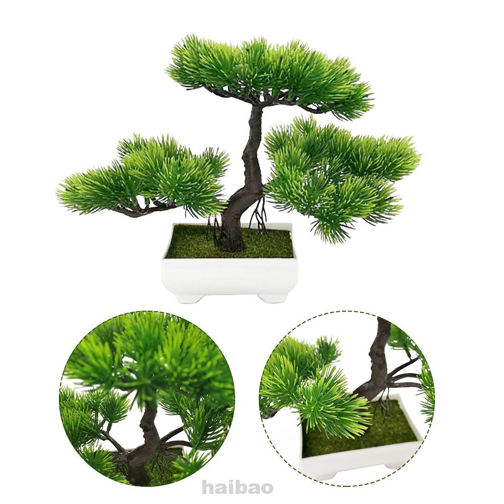 Cây Bonsai Giả Trang Trí