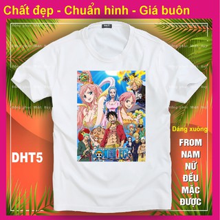 áo thun Đảo hải tặc 5 One Piece, Monkey D. Luffy,Zoro chất đẹp, phông, in hình