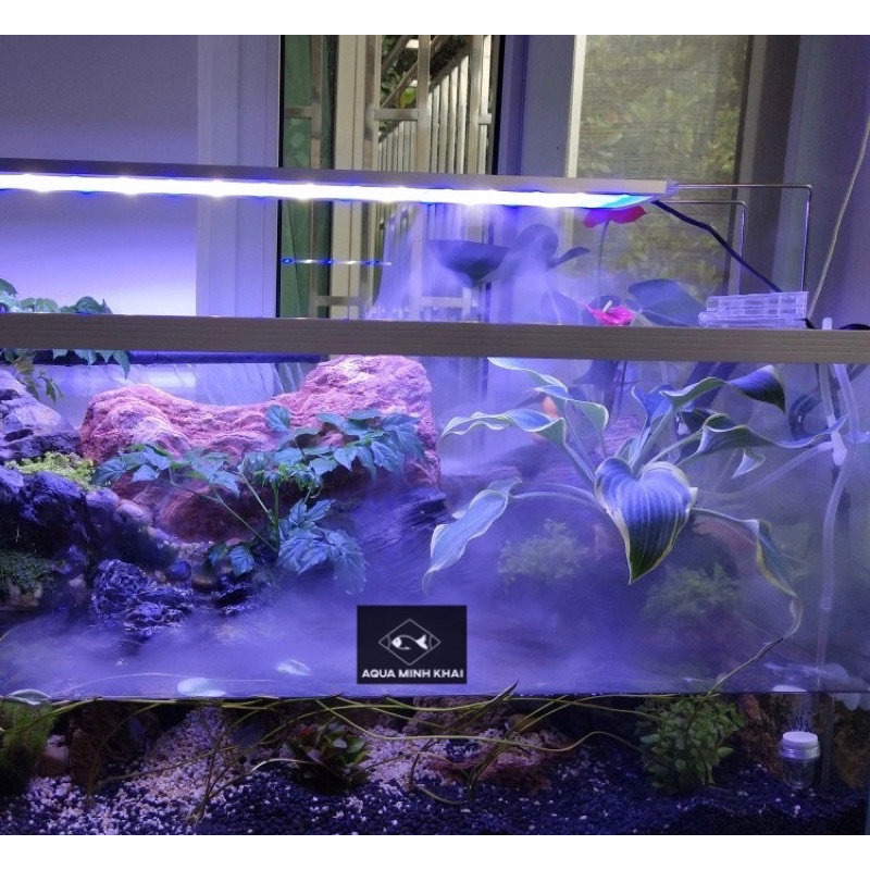 Máy tạo khói - máy tạo sương mù cho hồ thủy sinh, hồ bán cạn, hòn non bộ, tiểu cảnh, đèn led đổi màu Jeneca MM-32