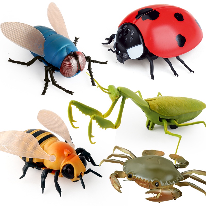 Mô hình GOROCK điều khiển từ xa hình côn trùng thông minh cho bé