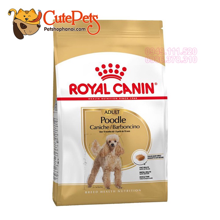 Hạt Royal Canin Poodle 1,5kg Thức ăn hạt cho chó cao cấp - Phụ kiện thú cưng Hà Nội