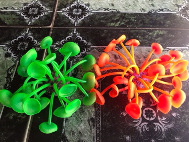 RONG NHẬP DẠ QUANG TRANG TRÍ HỒ CÁ NON BỘ