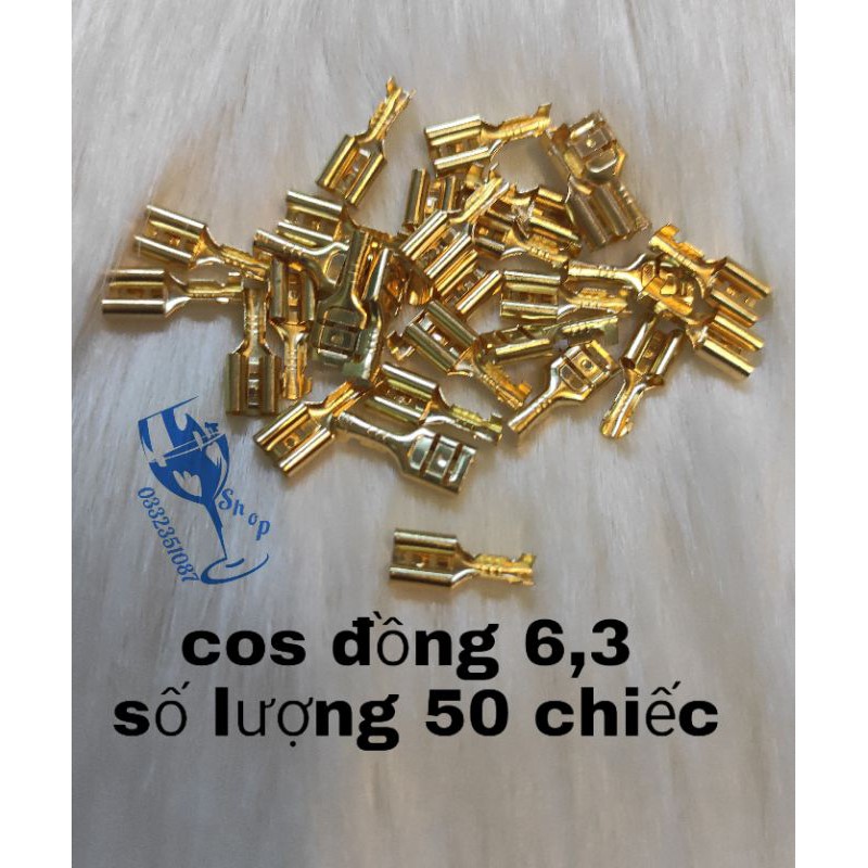 cốt đồng 6,3 số lượng 50 chiếc