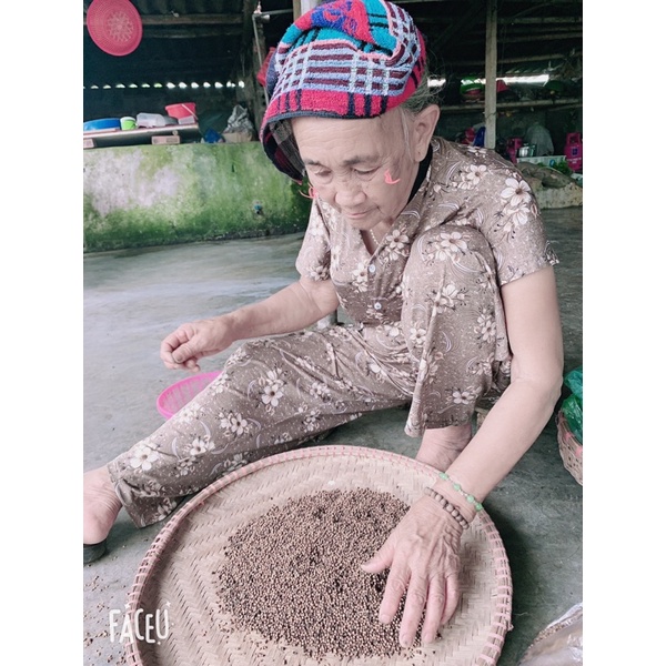 Nụ hoa vối phơi khô. Bán từ 200g