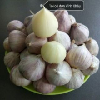 1kg tỏi cô đơn