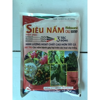 Siêu Nấm Bệnh