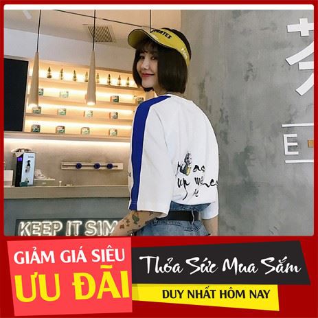 [ Big Sale ] Áo Tay Lỡ Form Rộng Nam Nữ Unisex C291 thời trang lamer