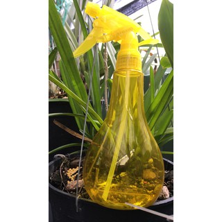 bình xịt mini 500ml đa năng dùng phân thuốc hay xịt nước