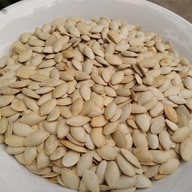 1 kg hạt bí rang tay giòn Bùi béo ngậy
