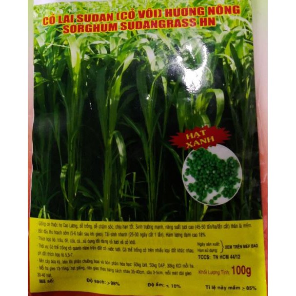 CỎ LAI SUDAN, CỎ VOI, CỎ LAI CHĂN NUÔI - GÓI 100 GRAM