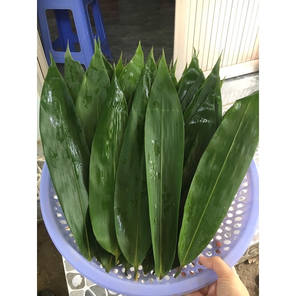 Lá tre tươi 100gram