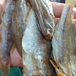 Combo 500 gram cá cơm và 1kg cá đù