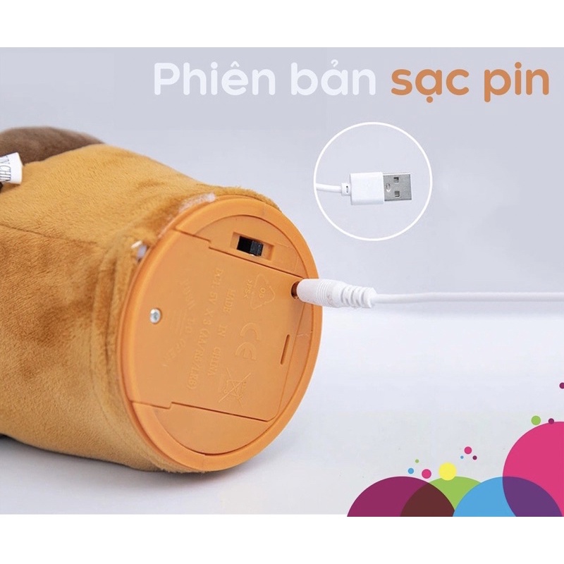 Cây xương rồng nhạc việt, nhảy múa, ghi âm