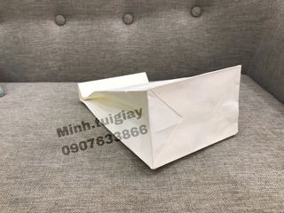 100c Túi giấy 13x27 đáy 9,5cm