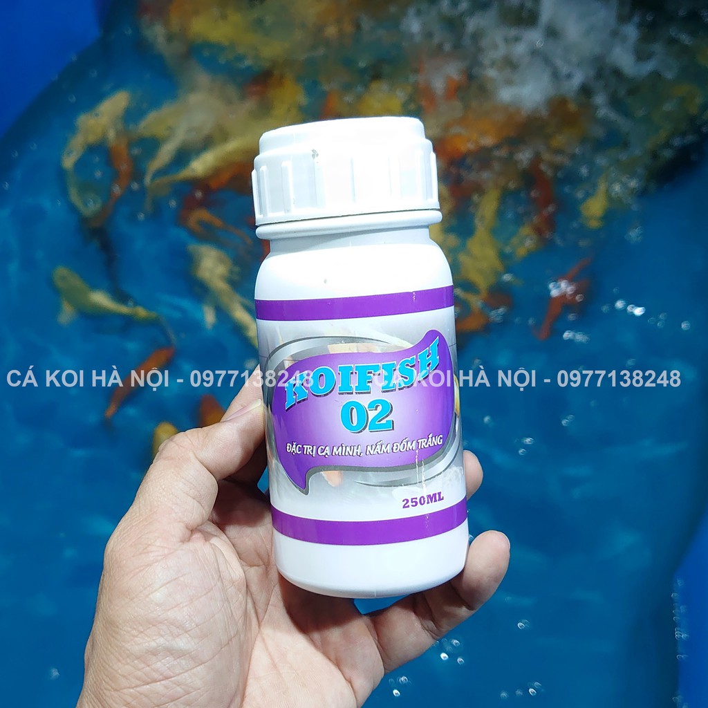 Thuốc đặc trị cạ mình, nấm đốm trắng Cá Koi (KOI FISH 02)