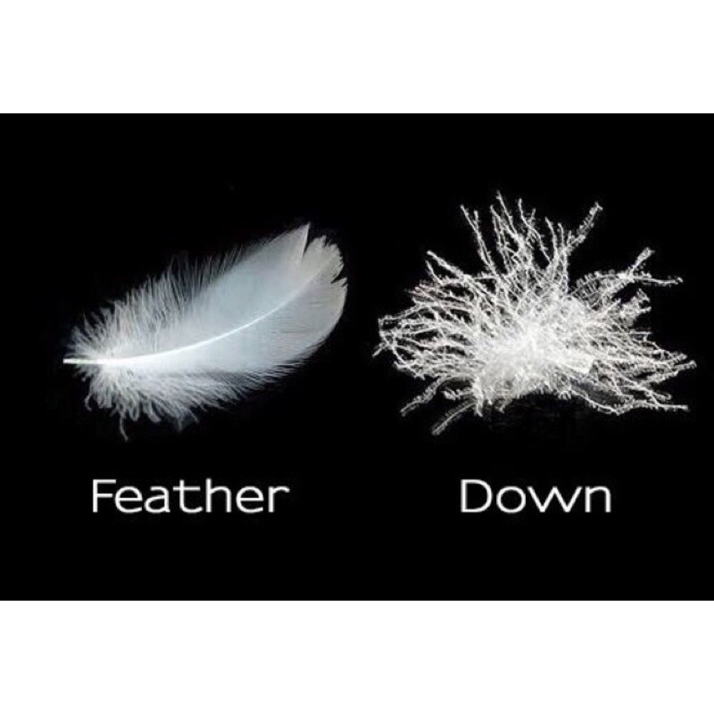 Gối lông ngỗng tự nhiên Feather LAUBE 40x60cm Nhật Bản