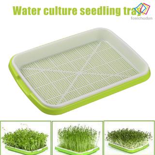 Khay Nhựa Ươm Hạt Giống Nhiều Tầng Tiện Lợi