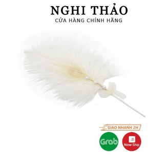 Lông vũ trang trí , chụp ảnh M37