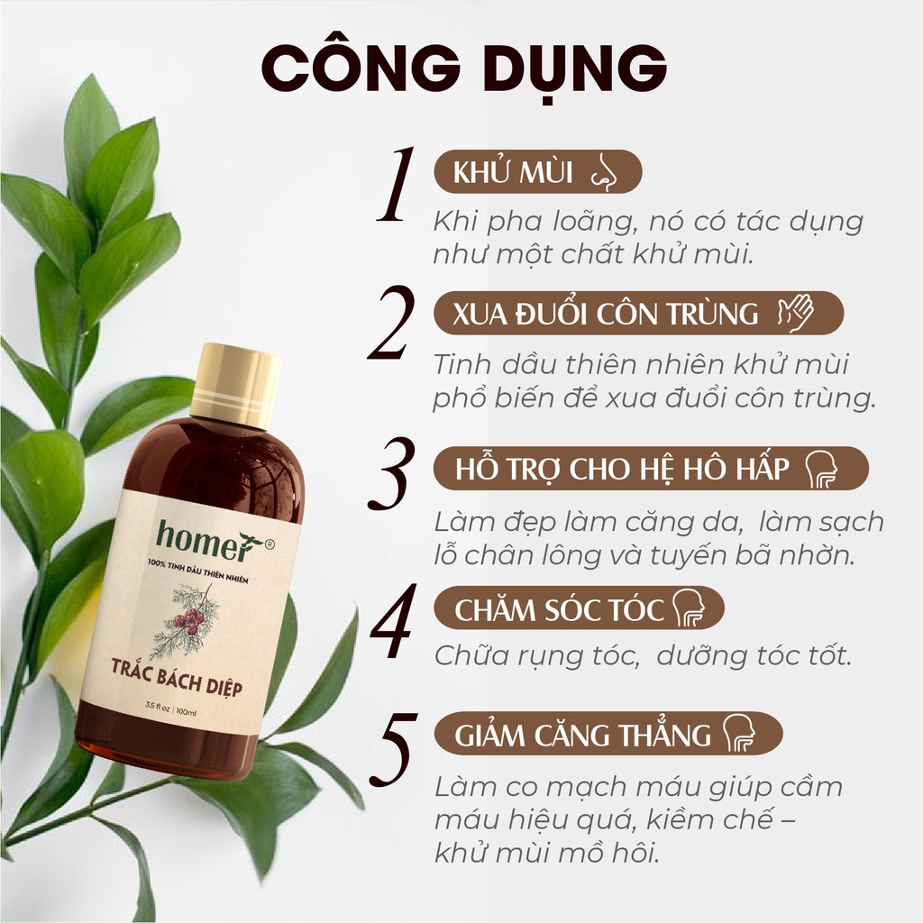 Tinh dầu Trắc Bách Diệp Homer 500ML/ 1L - Cypress Essential Oil. - đạt chuẩn chất lượng kiểm định