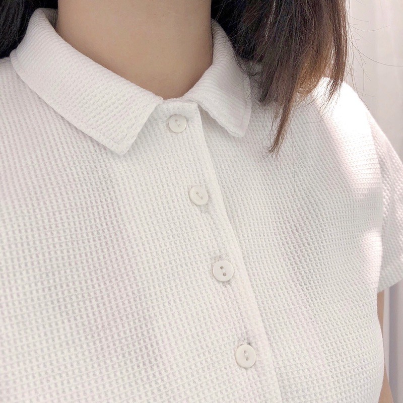 JANET STUDIO • Áo thun cổ polo tay ngắn | BigBuy360 - bigbuy360.vn