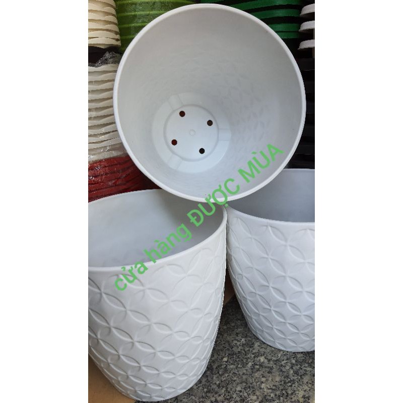 combo 2 chậu nhựa đồng tiền đường kính 28cm