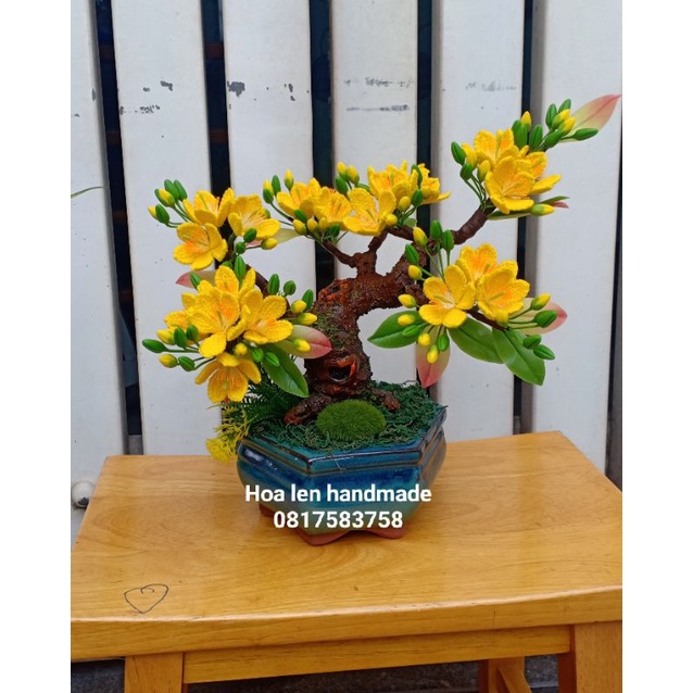 Gốc bonsai 20 hoa