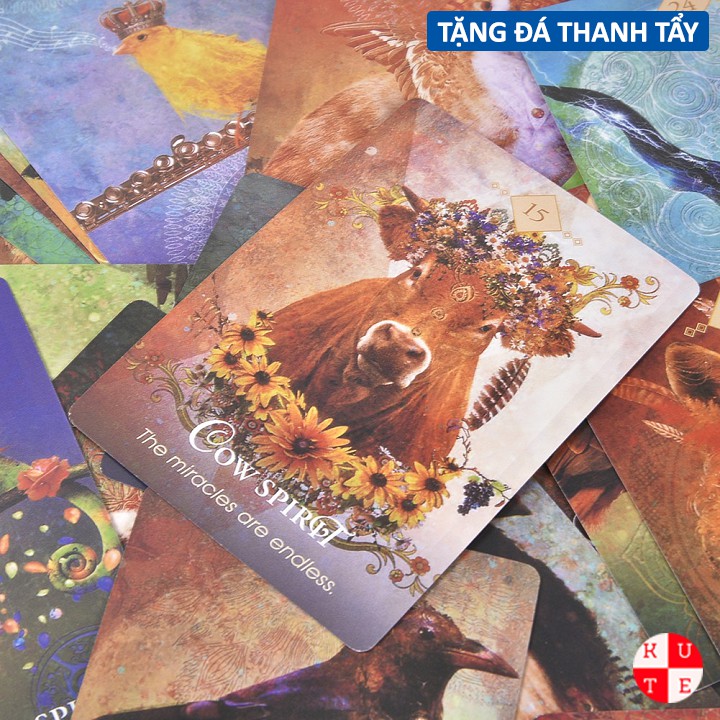 Bộ Bài Spirit Animal Oracle 68 Lá Bài Tặng File Tiếng Anh Và Đá Thanh Tẩy B4 C4