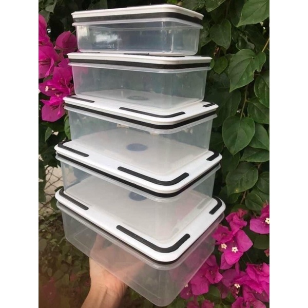 Set 5 hộp đựng thực phẩm đồ ăn để tủ lạnh, hộp đựng thức ăn hình chữ nhật, chất liệu nhựa cao cấp