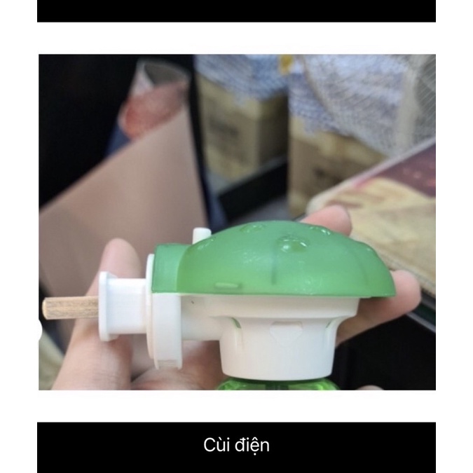 Cùi đèn