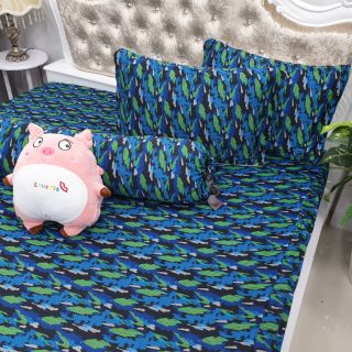 Bộ drap thun hàn quốc 4 món