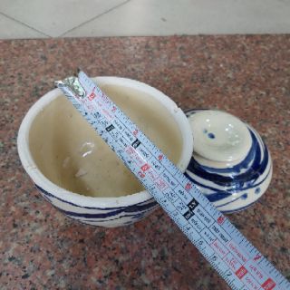 Thố đất Việt