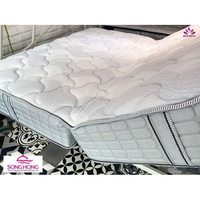 Nệm Sông Hồng Back Essential dòng 2 tấm cao cấp