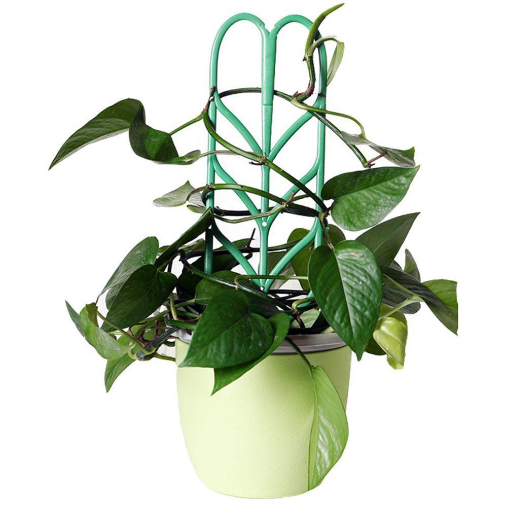 GIOVANNI Khung Hỗ Trợ Trồng Cây Dây Leo DIY Tại Nhà