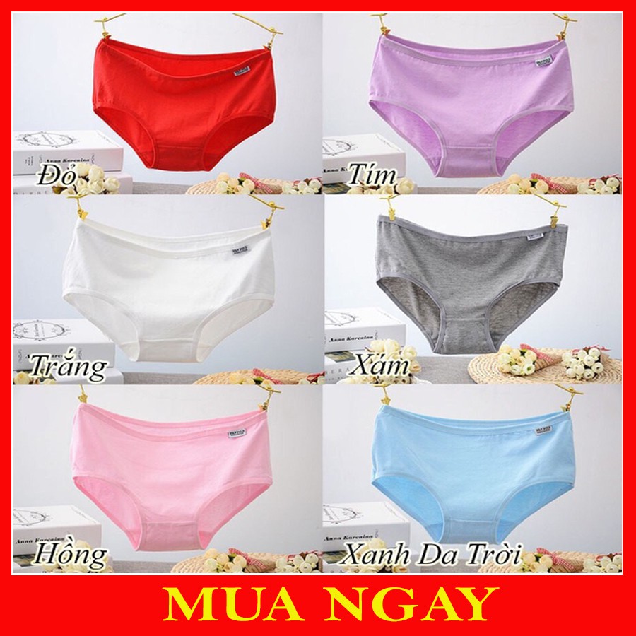 Quần Lót Nữ Pulo Cao Cấp