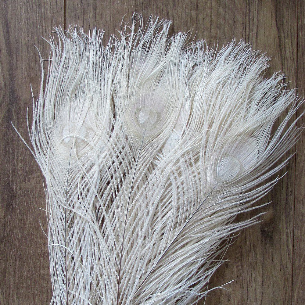 10 Lông công Trắng Ấn Độ 25-30cm – Mắt vừa tự nhiên 100% | BigBuy360 - bigbuy360.vn