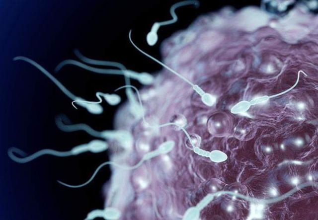 Thiết bị xét nghiệm tinh trùng tại nhà Yo sperm